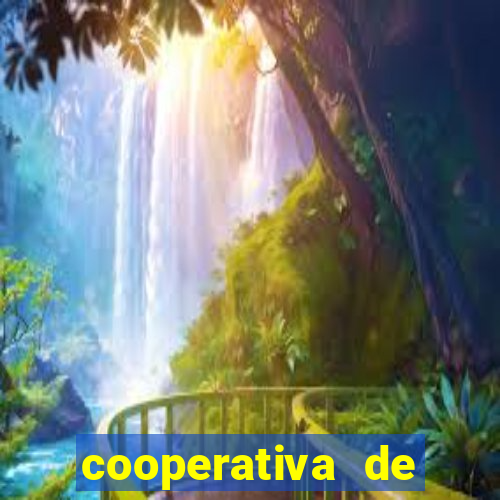 cooperativa de energia solar minas gerais